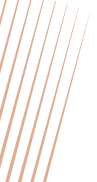 bottom-gradient